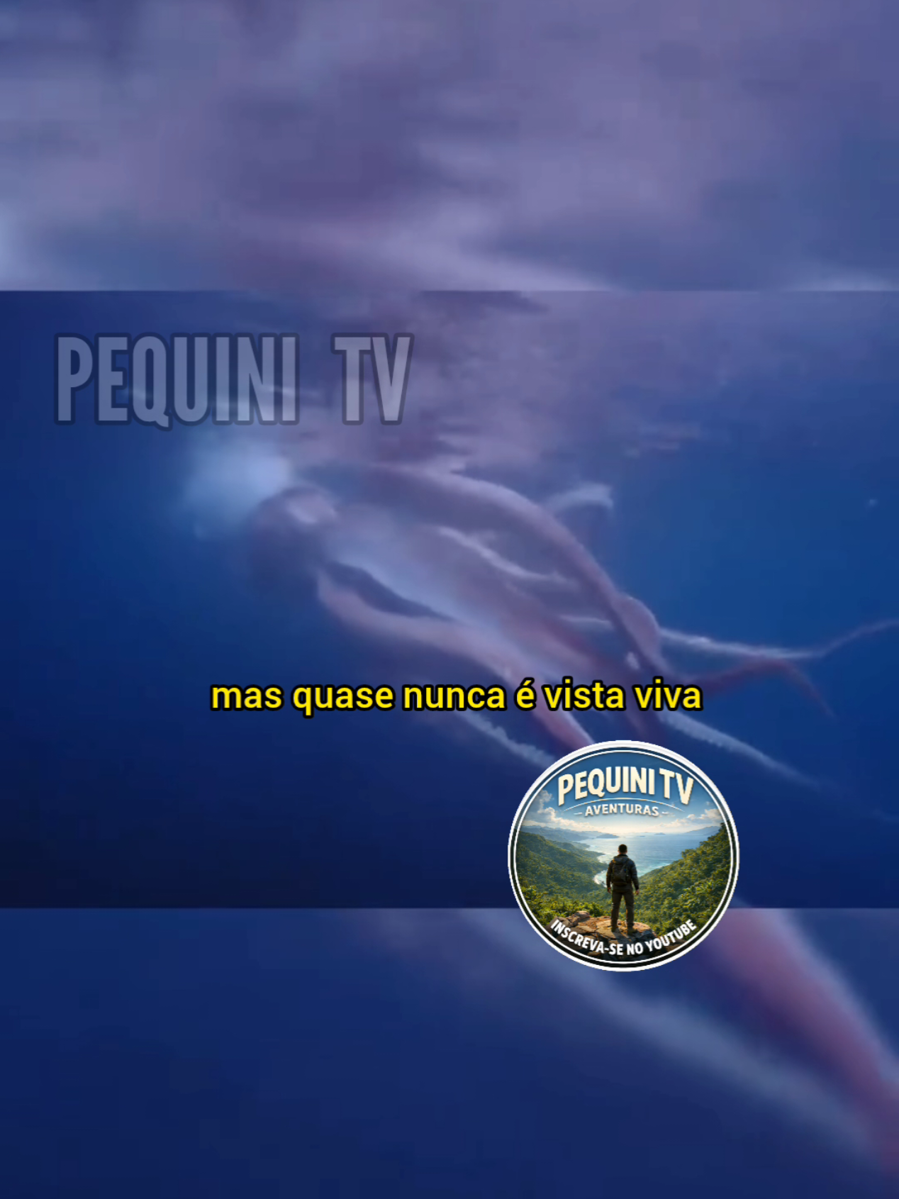 @PEQUINI TV
