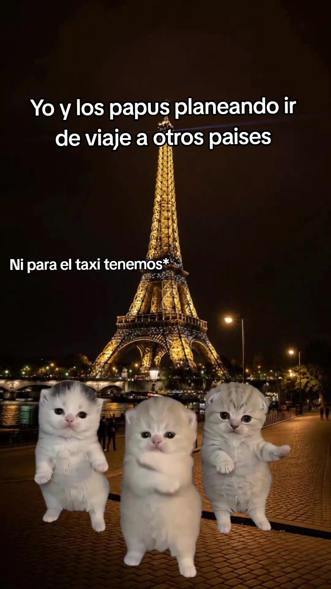 @Jeremyy João❤️