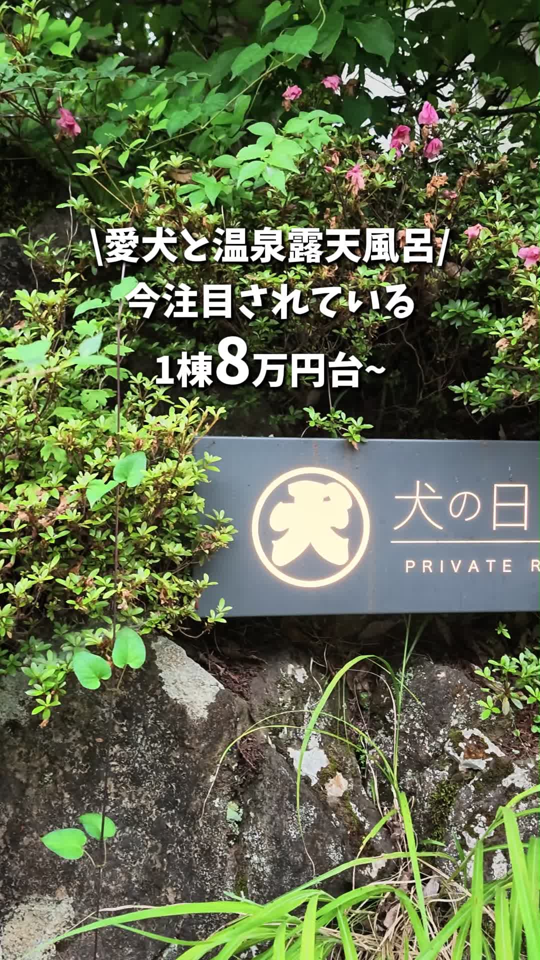 @キンベル|格安旅行案内人