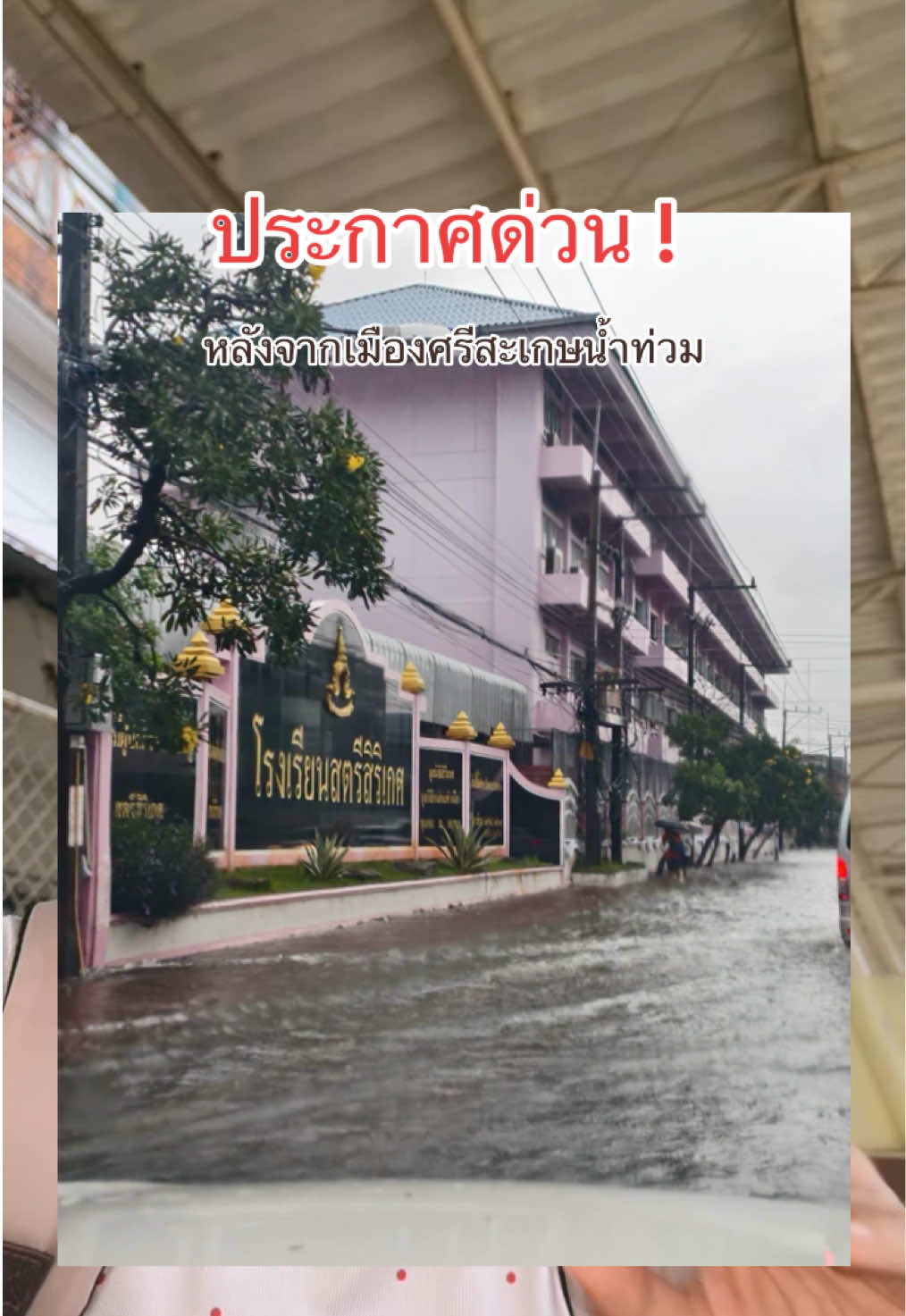 @แนนน้อย 🌻🤍