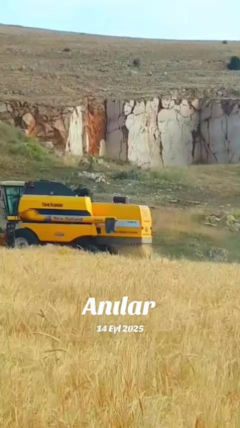 @yetiş çiçek