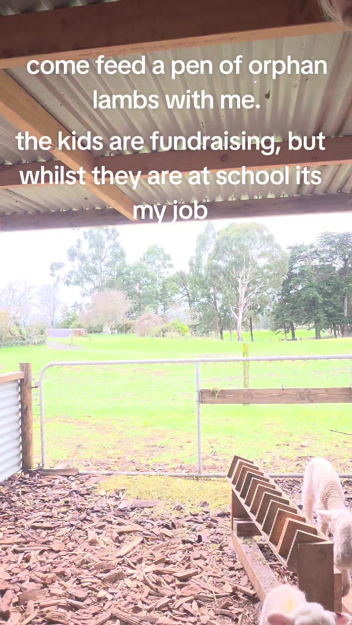 @Elfelms🇦🇺