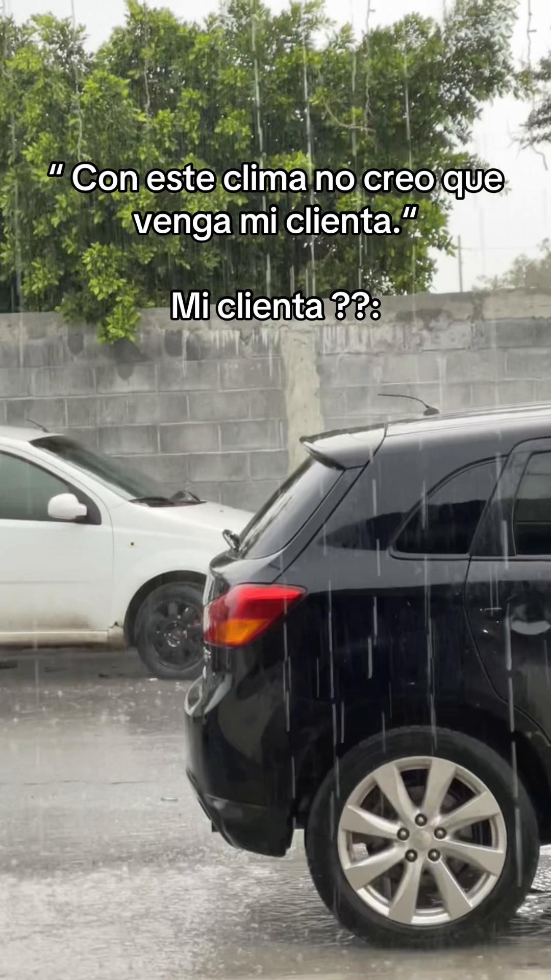 @Luisa Morua