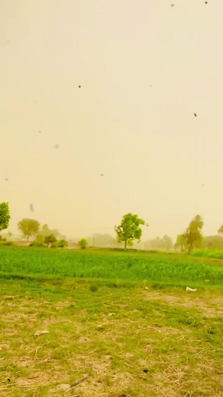 @mudasir Bhatti 55
