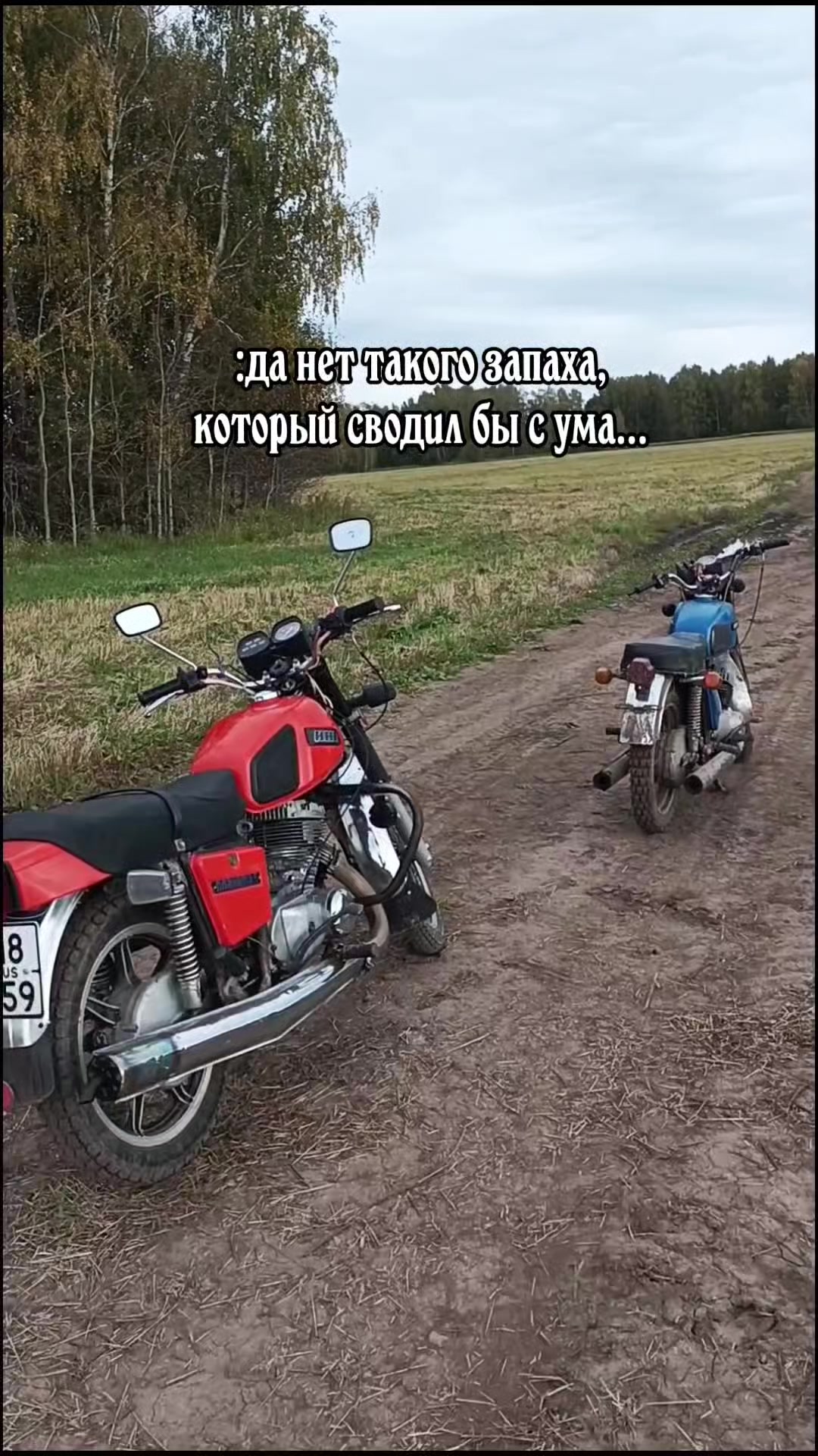 @⚜️Jupiter_159rus⚜️