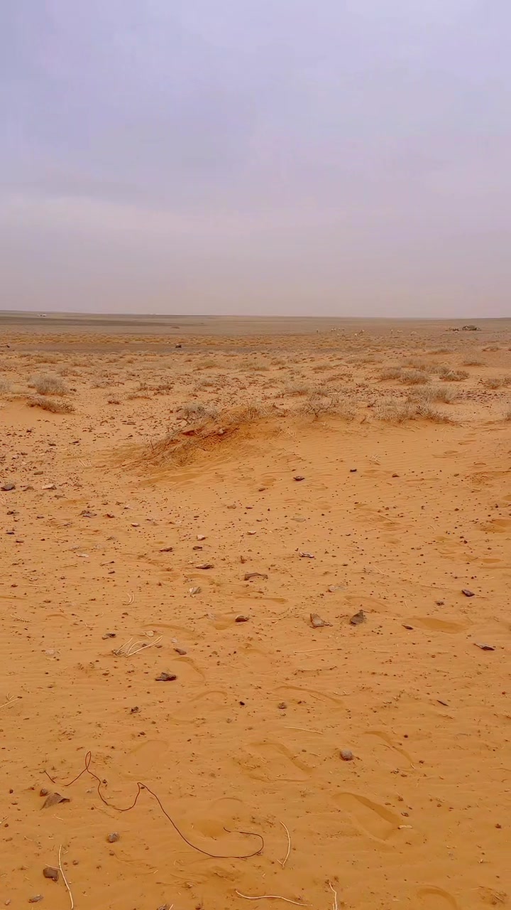 @ابوعبدالله