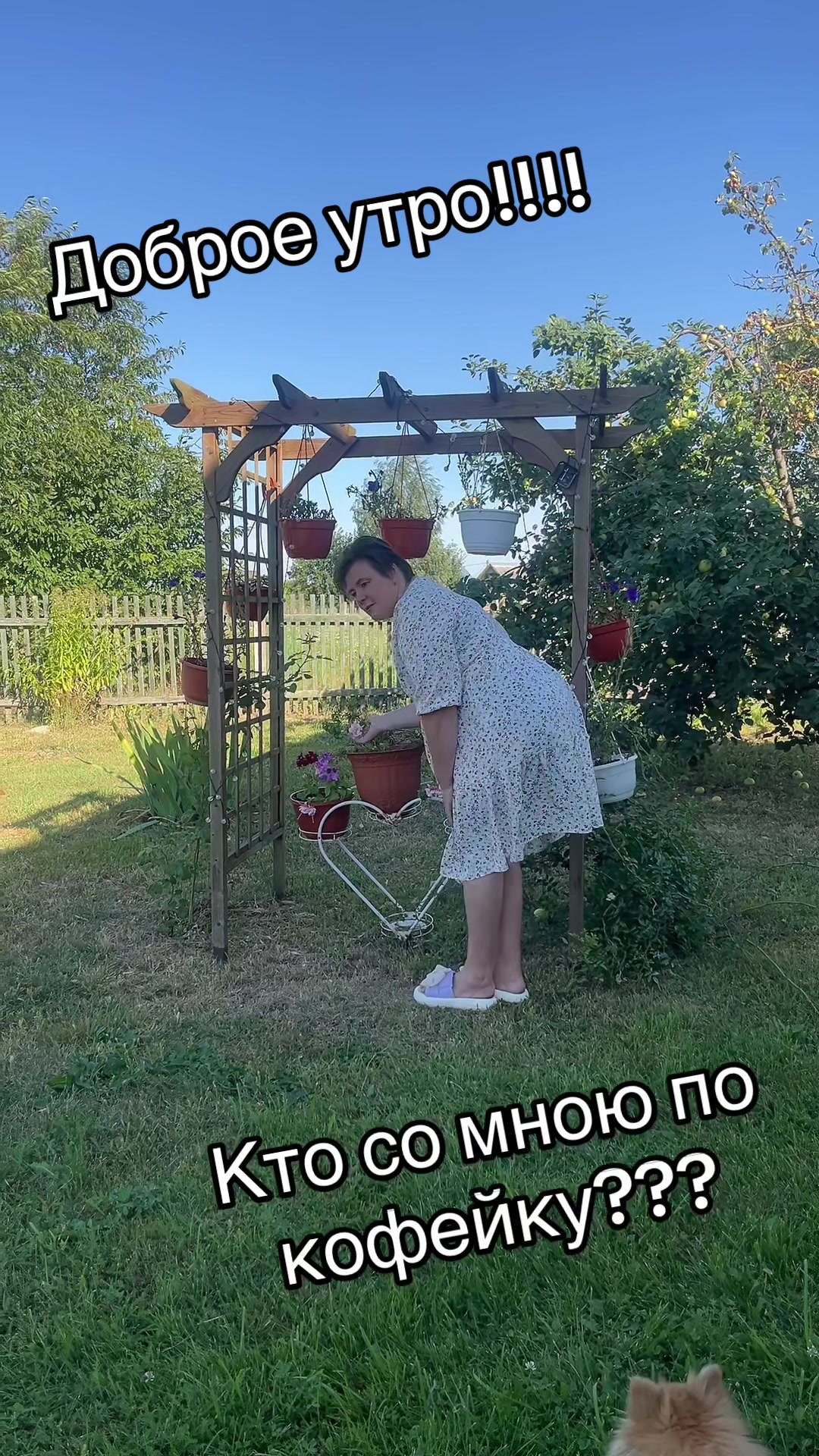 @Ольга