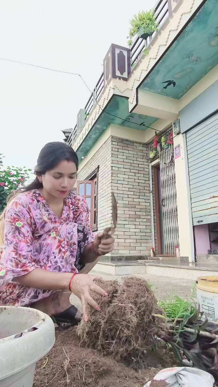 @सारा 💕दिपसन्👍️