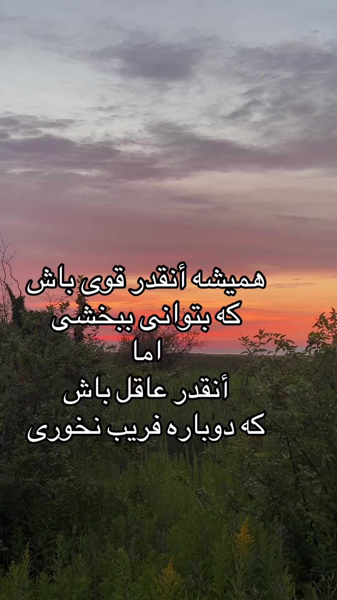 @Sohaila