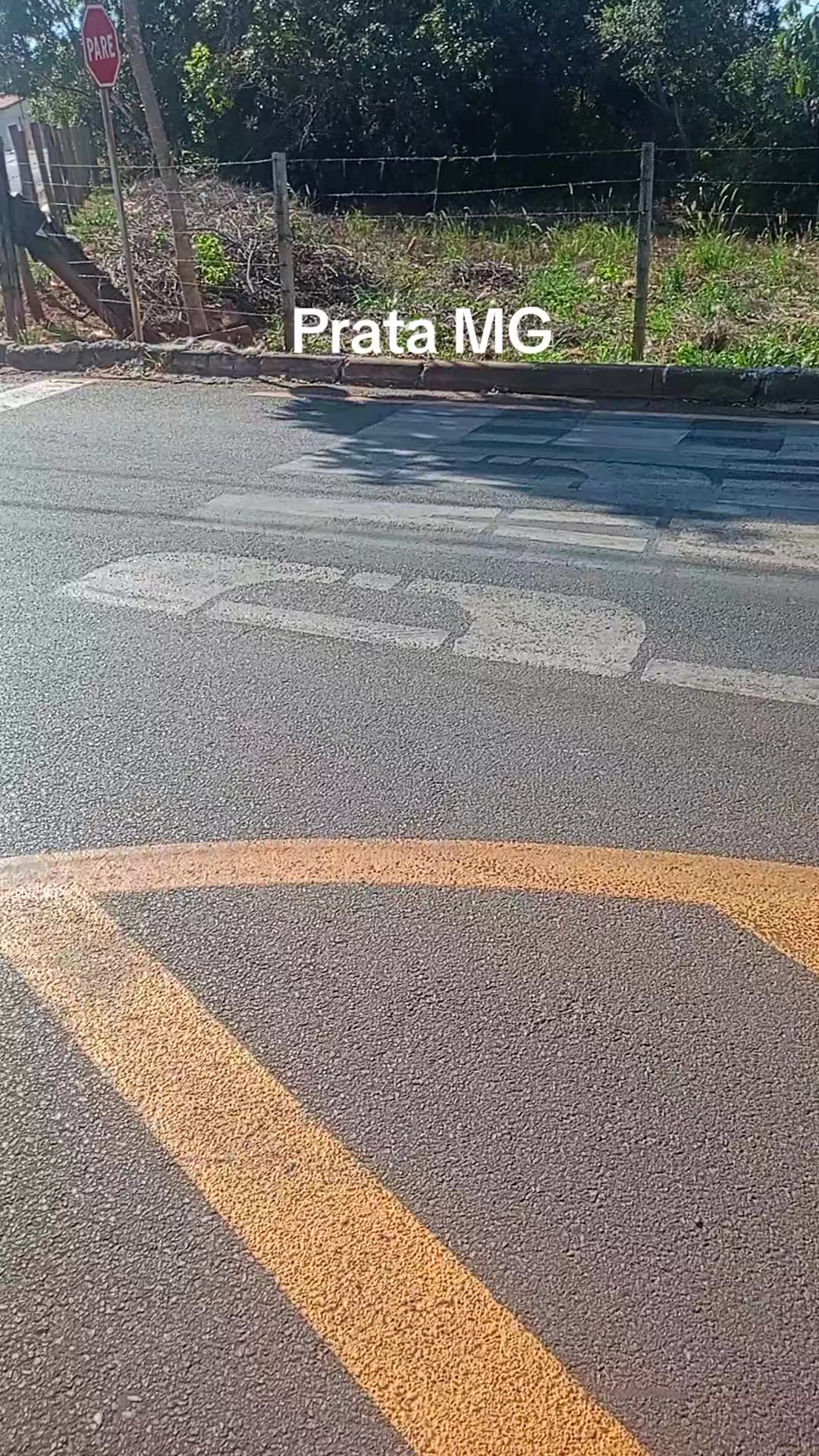 @Adriana Aparecida Si