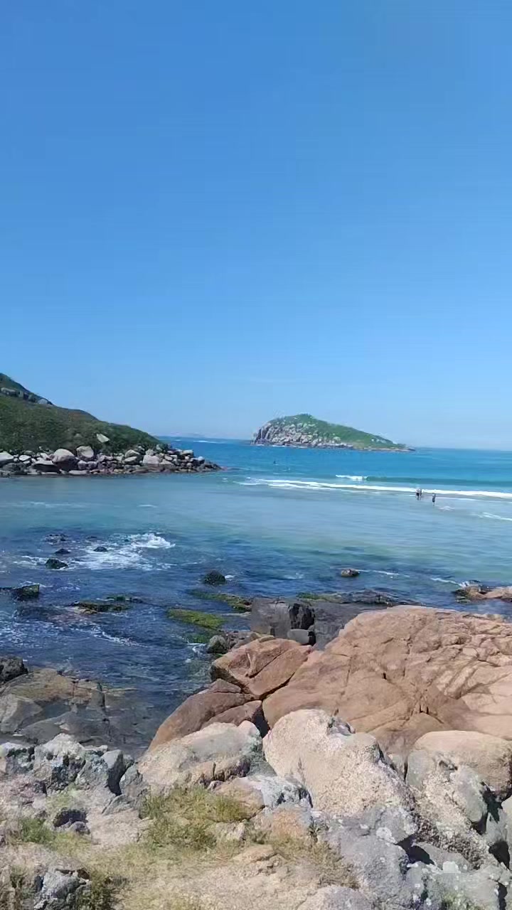 @Davison Reeís