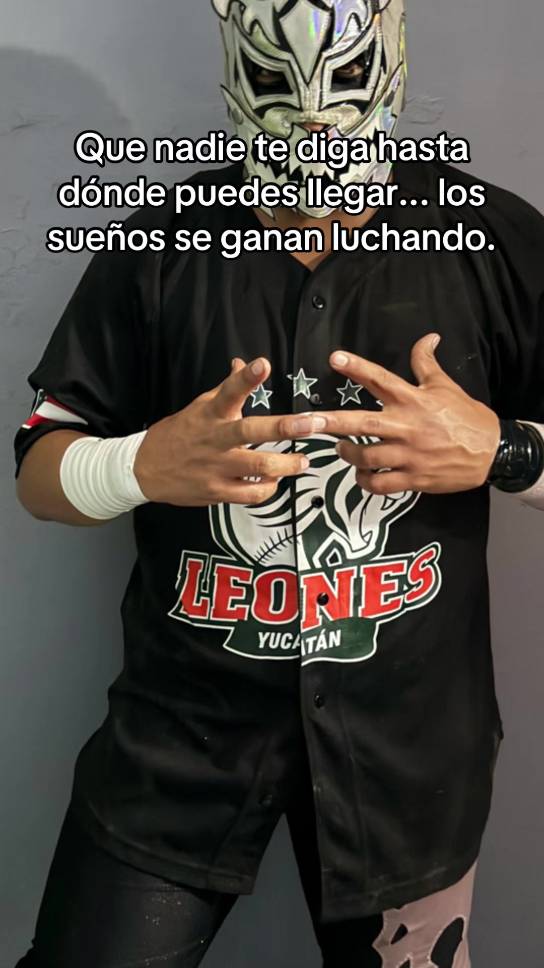 @Guerrero Dragon
