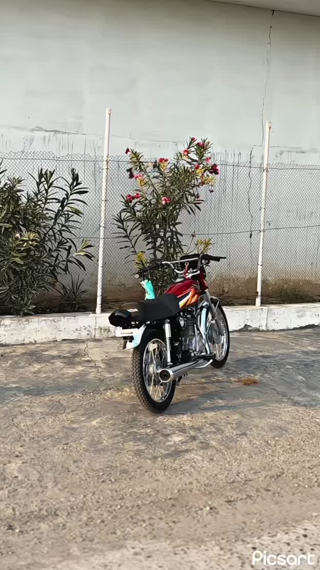 @𝘏𝘈𝘚𝘌𝘌𝘉🐊