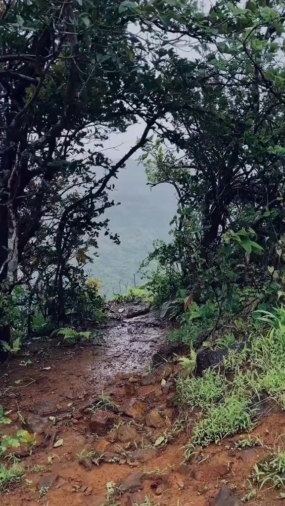 @anaguerra4275