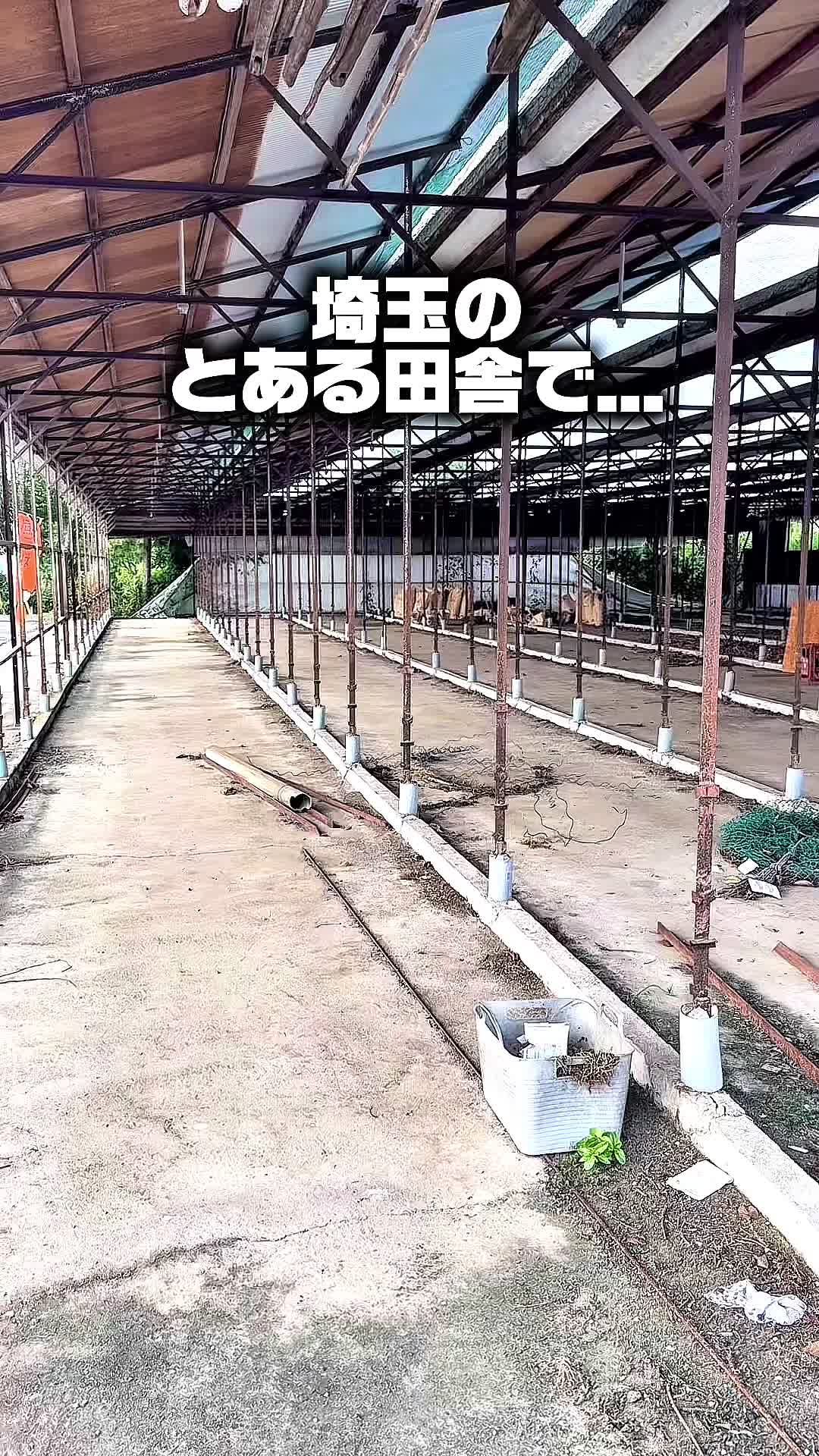 @SAITAMA FOOD/【公式】埼玉グルメ