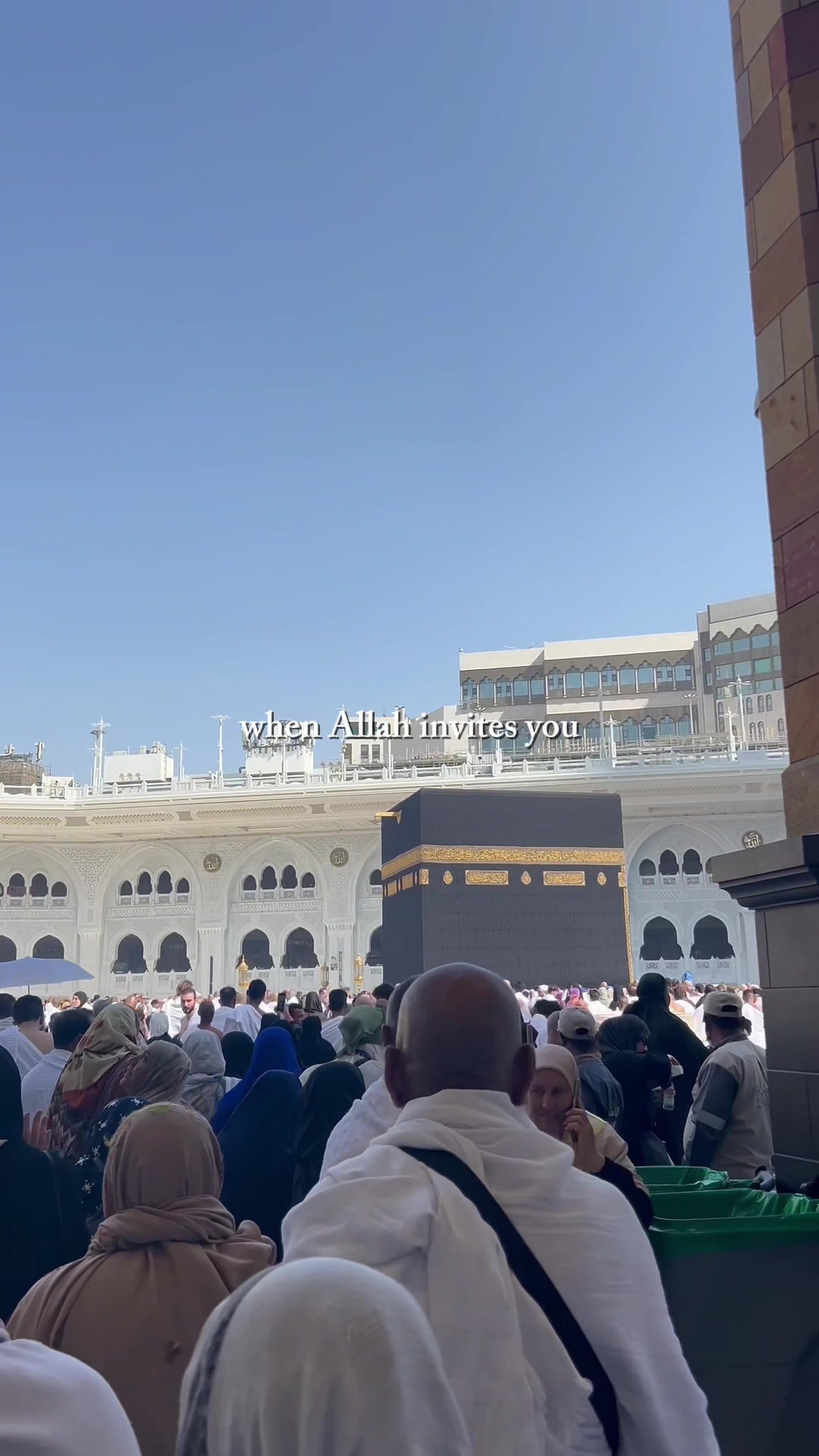 @mary.aahmed