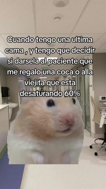 @AdultoChiquito
