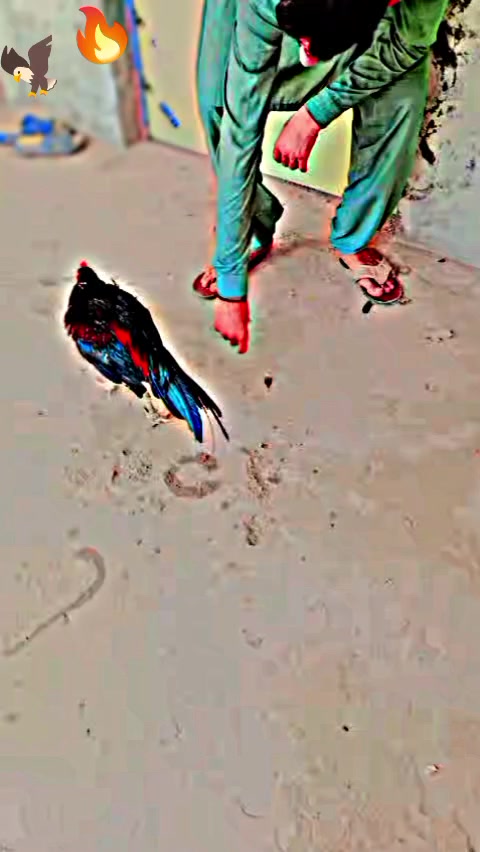 @RaoMudassir