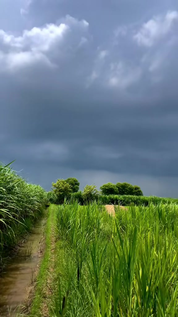 @🍃 𝑽𝒊𝒍𝒍𝒈𝒆𝑹 𝑩𝒐𝒀𓀑