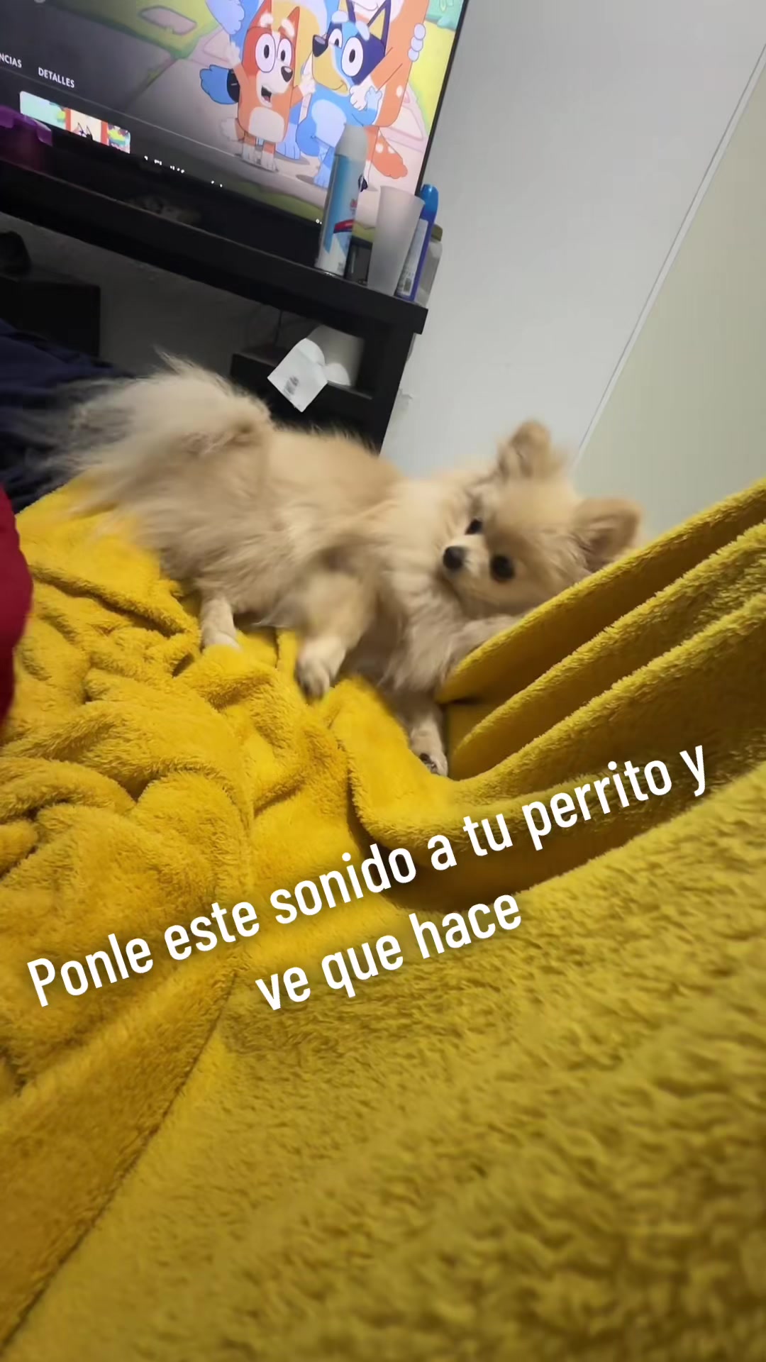 @ALE GUEDEA
