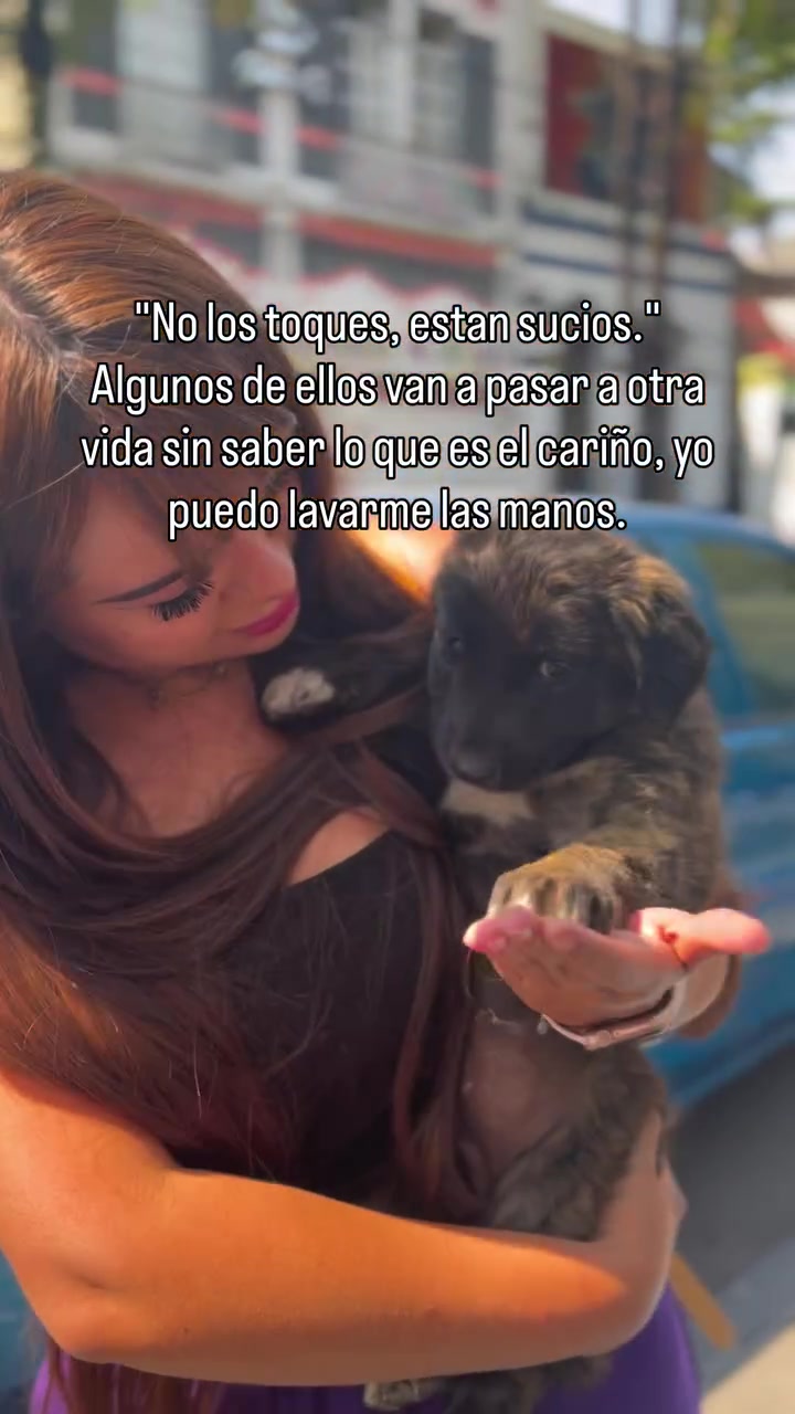 @DanyanCat