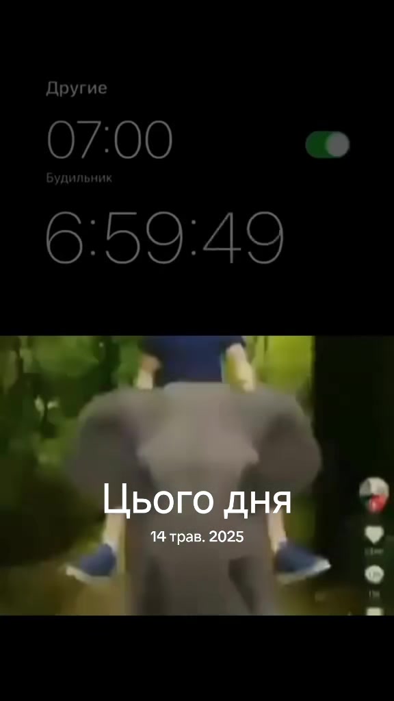 @живчик 228
