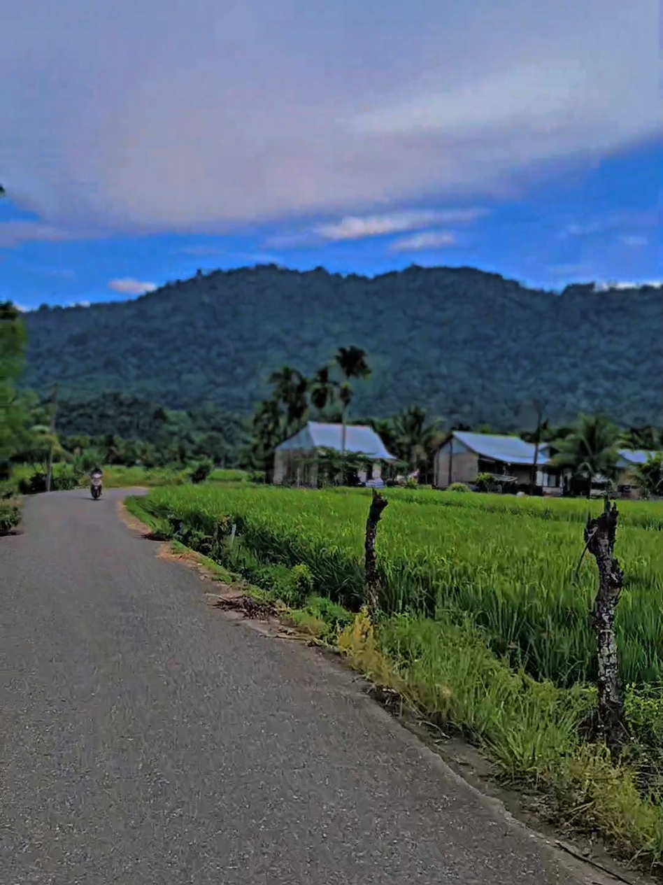 @Tasir_ipst
