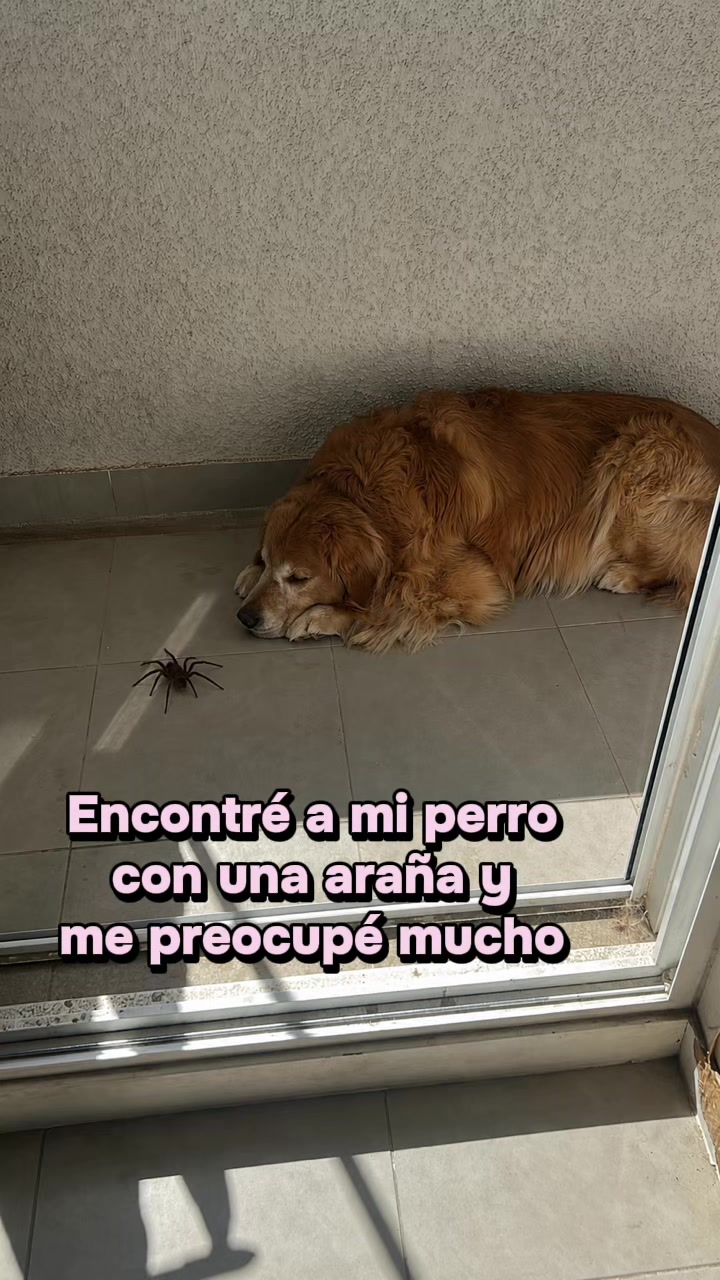 @maquix.c