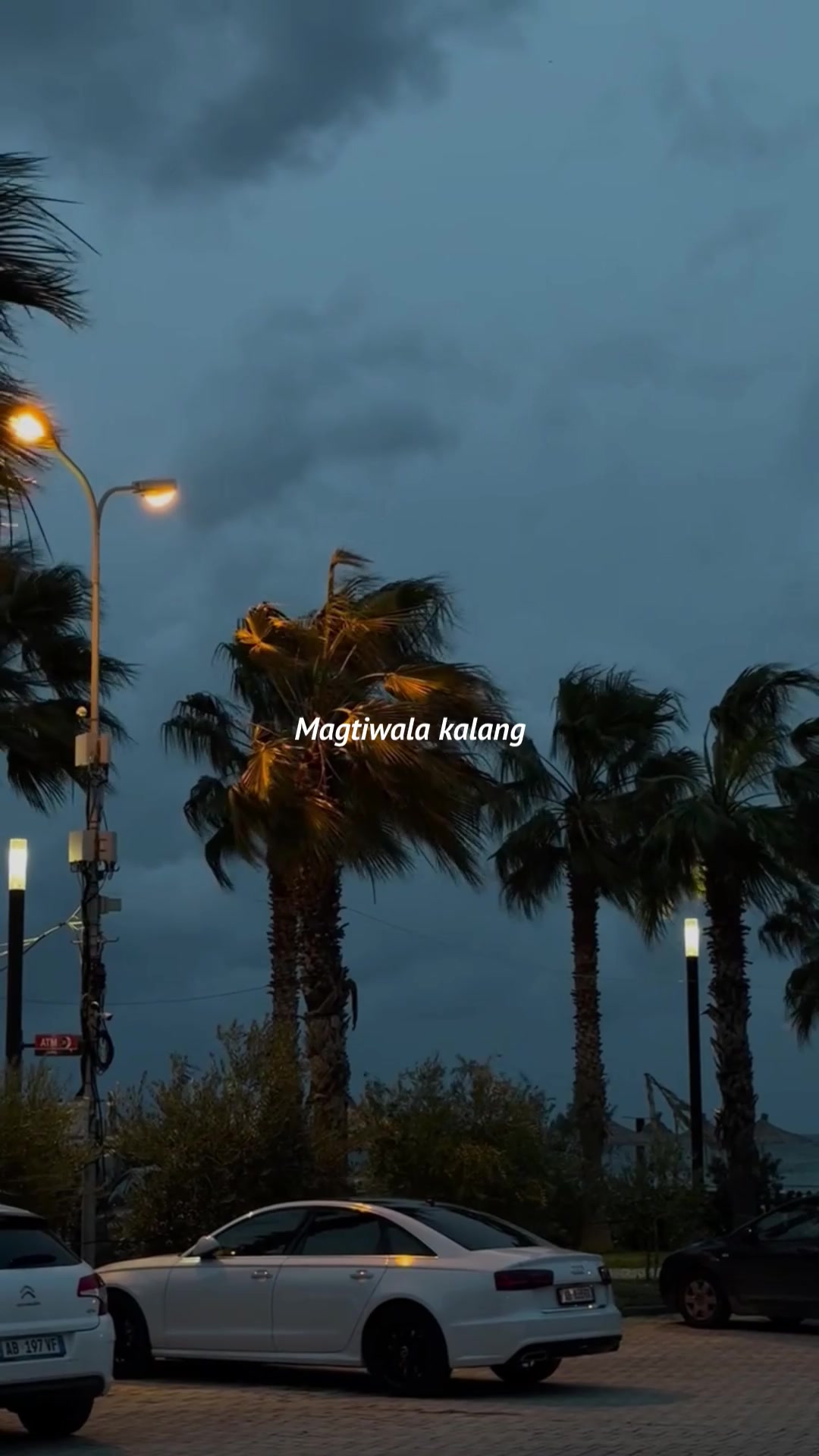 @my.