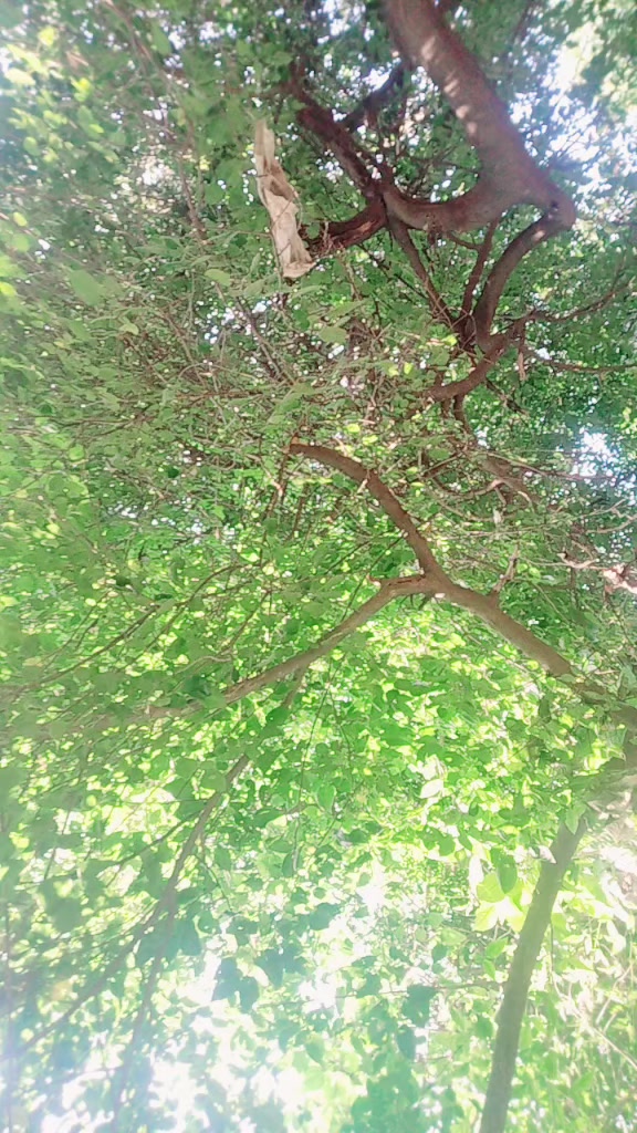 @Tulasabhusalkhanal