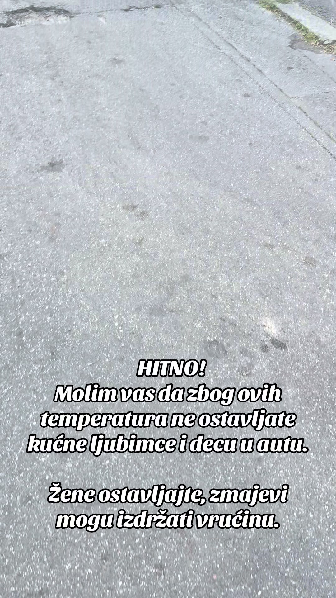 @Lazar🇷🇸