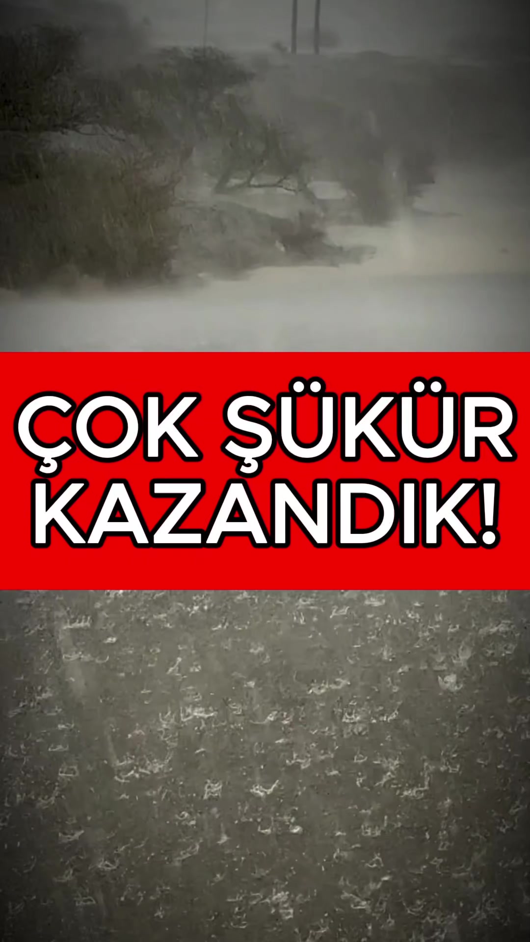 @Havadar