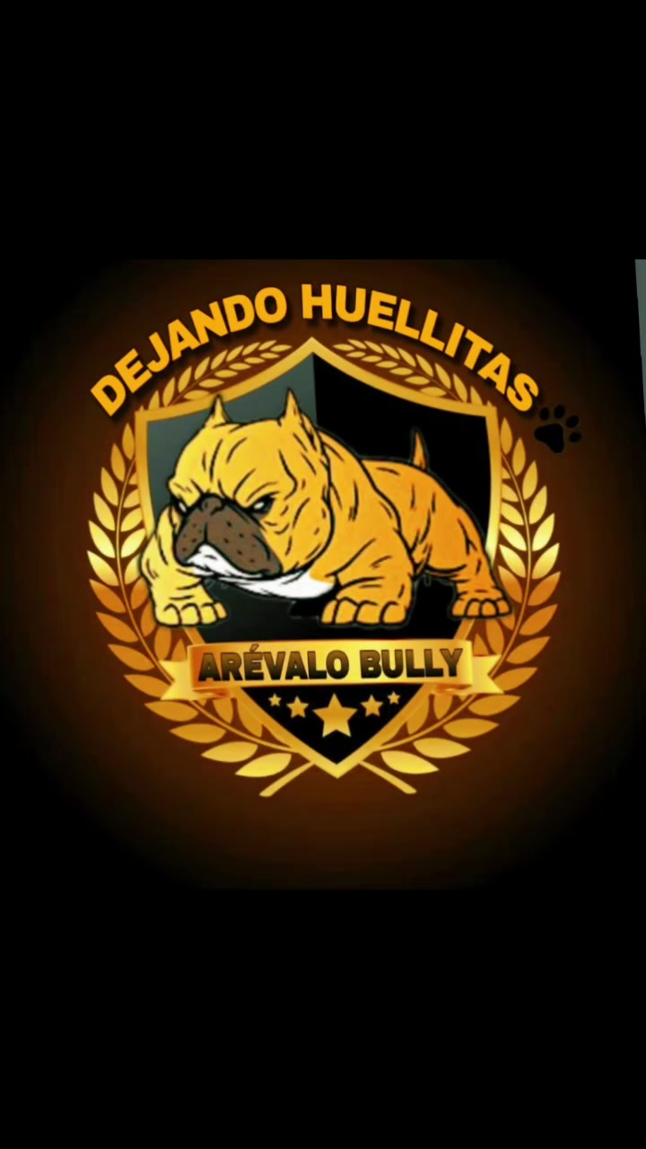 @arevalobullsper&uacute;