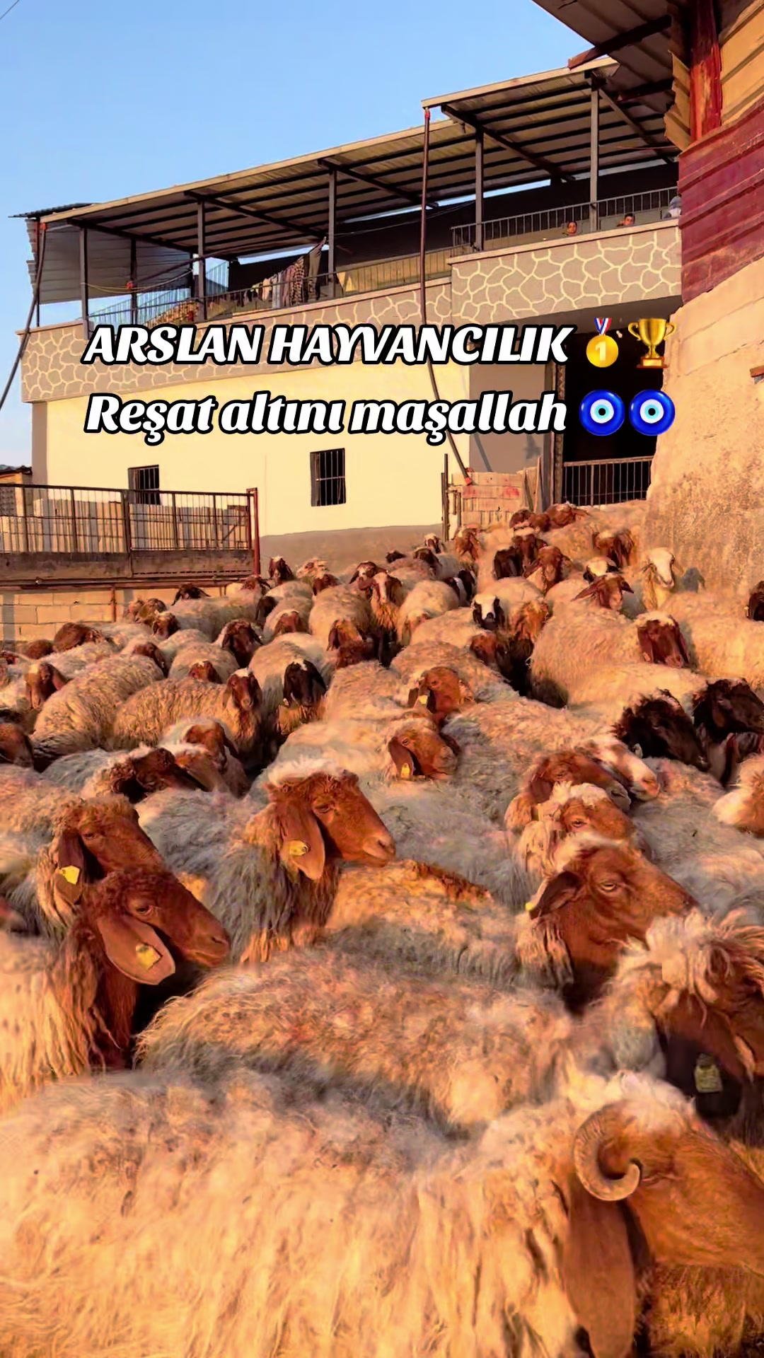 @cuma_arslan027