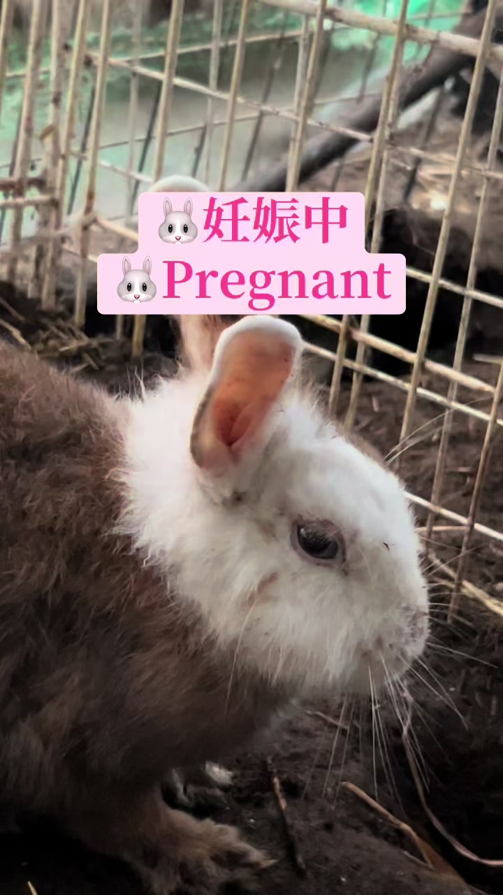 @billion_farm