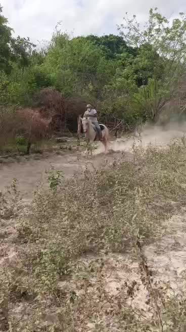 @JOSÉ DAVID