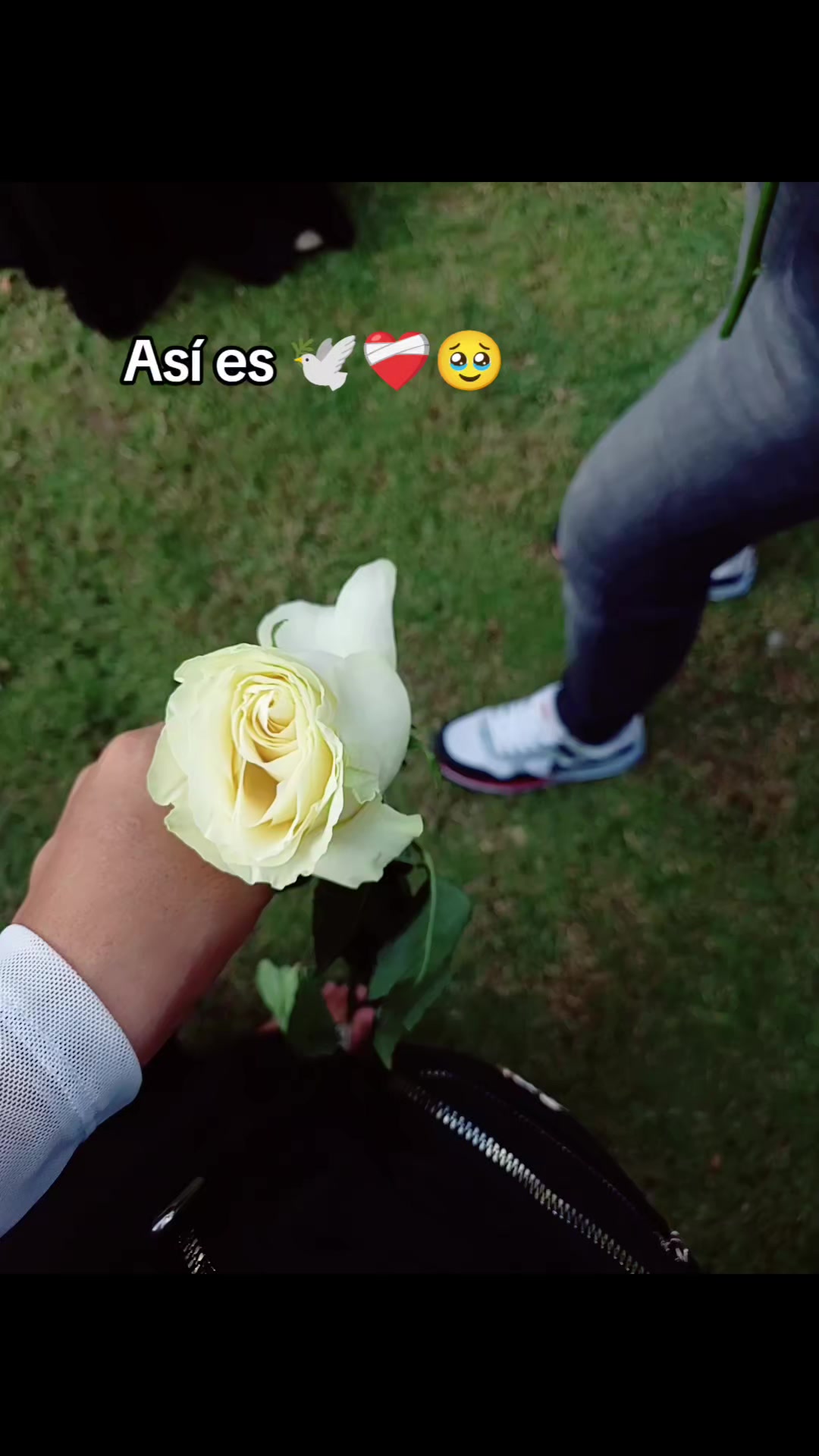 @️