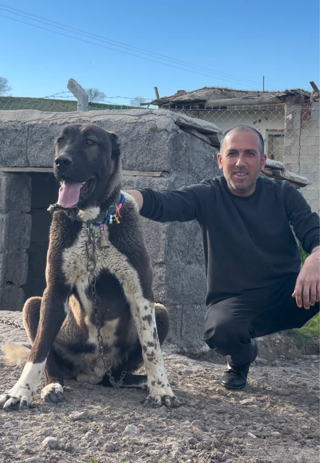@Efe’nin KaraAslanları