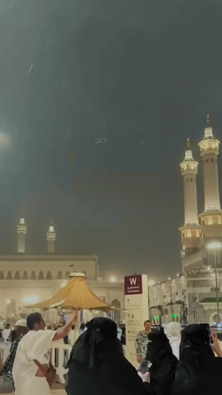 @ar_zoo5