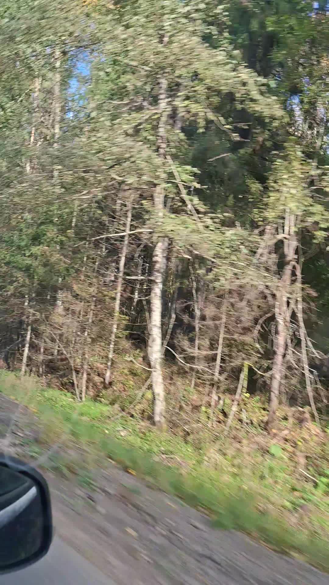 @Ольга