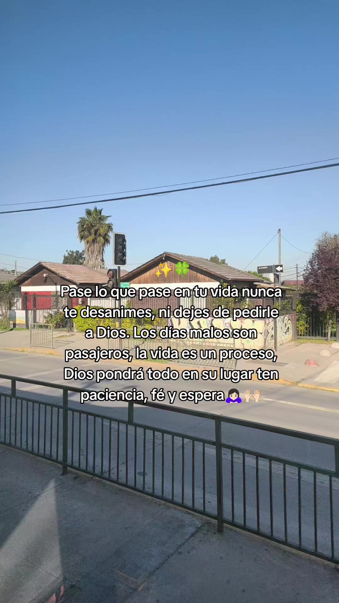 @🌸Kim Ross🌸