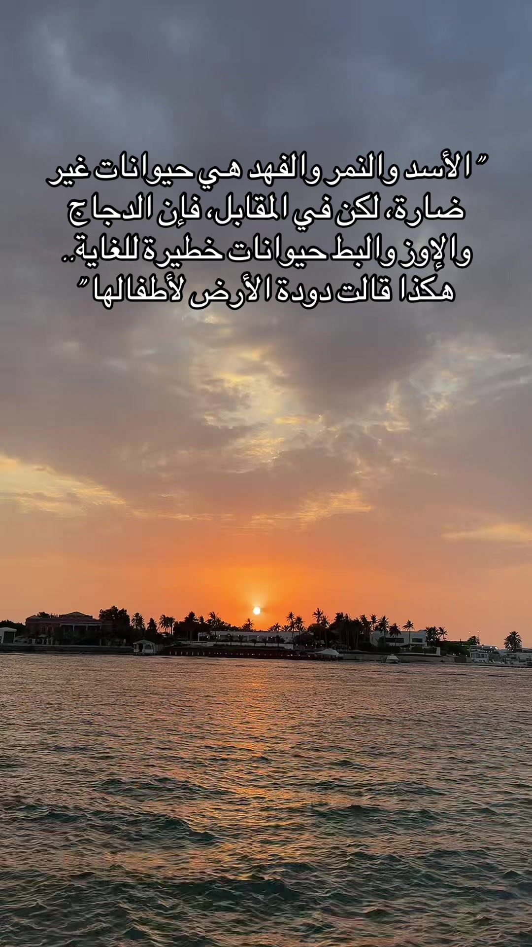 @مُفكّر(Thinker)