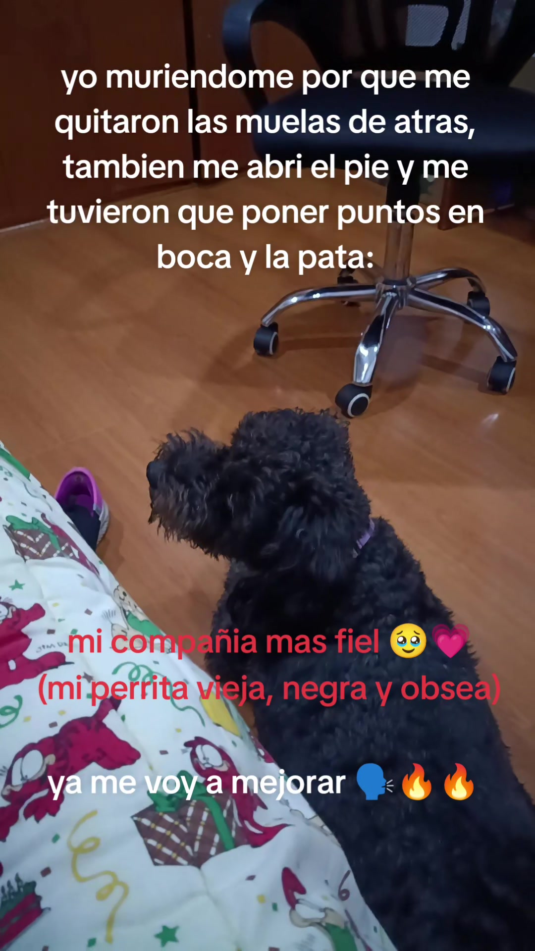 @motas_cuartetera