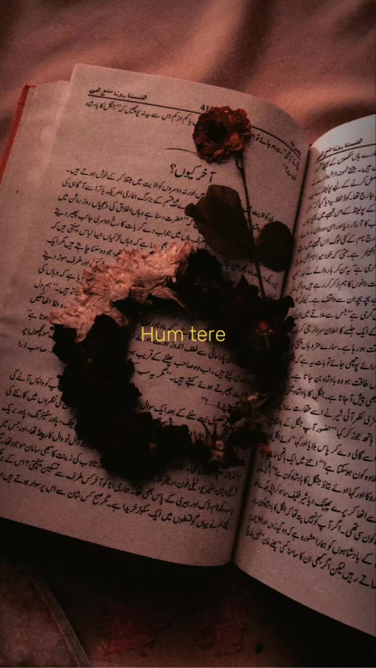 @ش؟ 𓍢ִ໋🌷͙֒