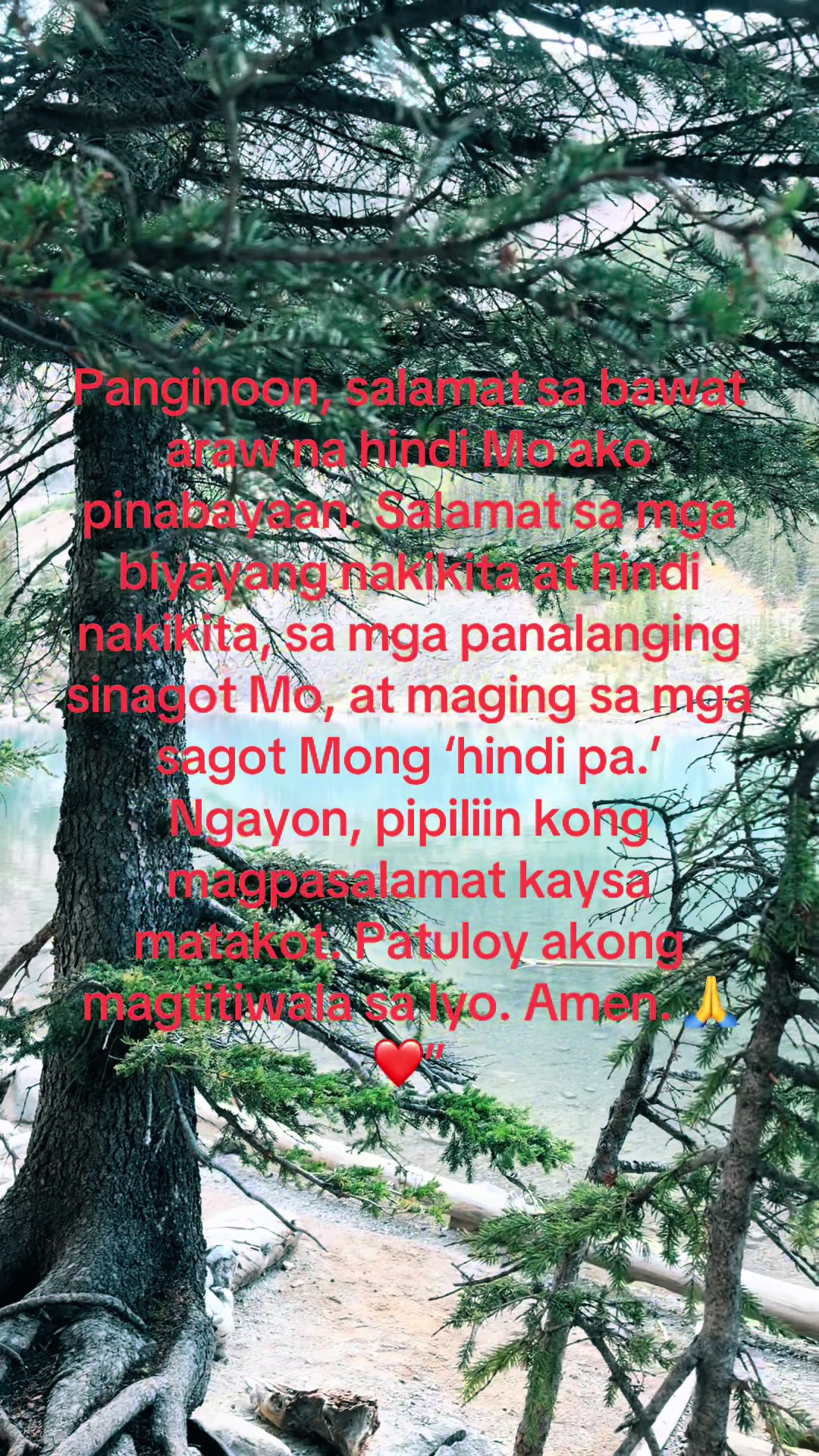 @Roseann luna
