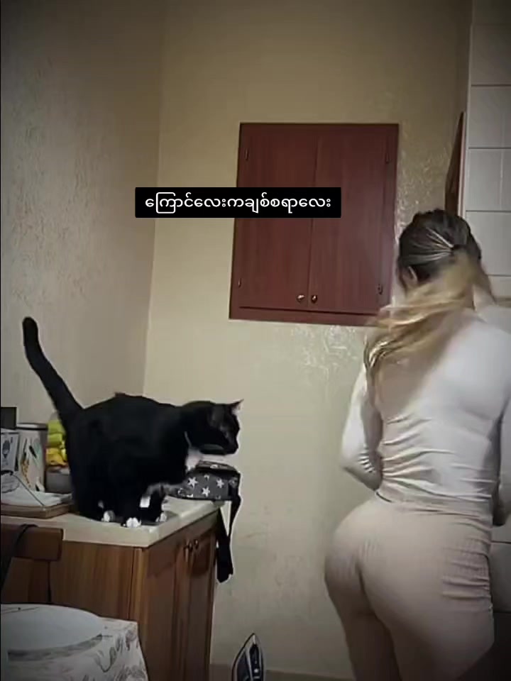 @ₜᵢₖₜₒₖ Zₒₙₑ