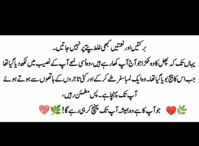@ZAIN_89🖤
