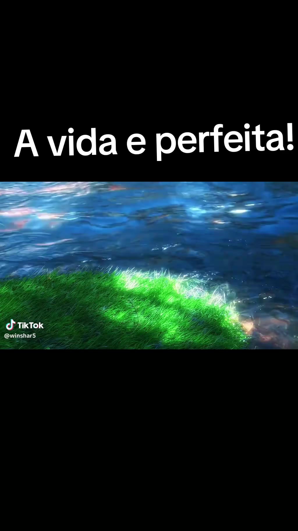 @Souza.yx12