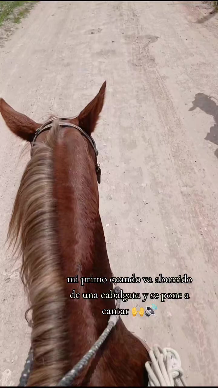 @mili campa
