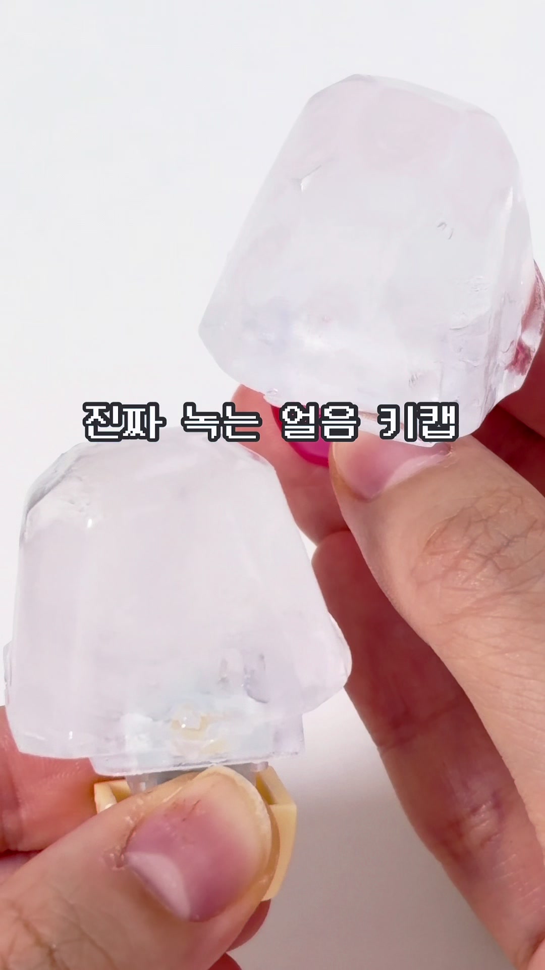 @송끼새끼